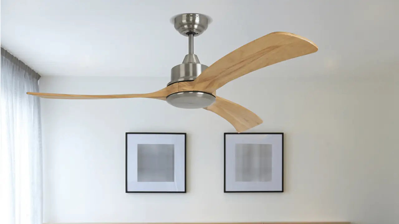 MT Edma Decorative Ceiling Fan