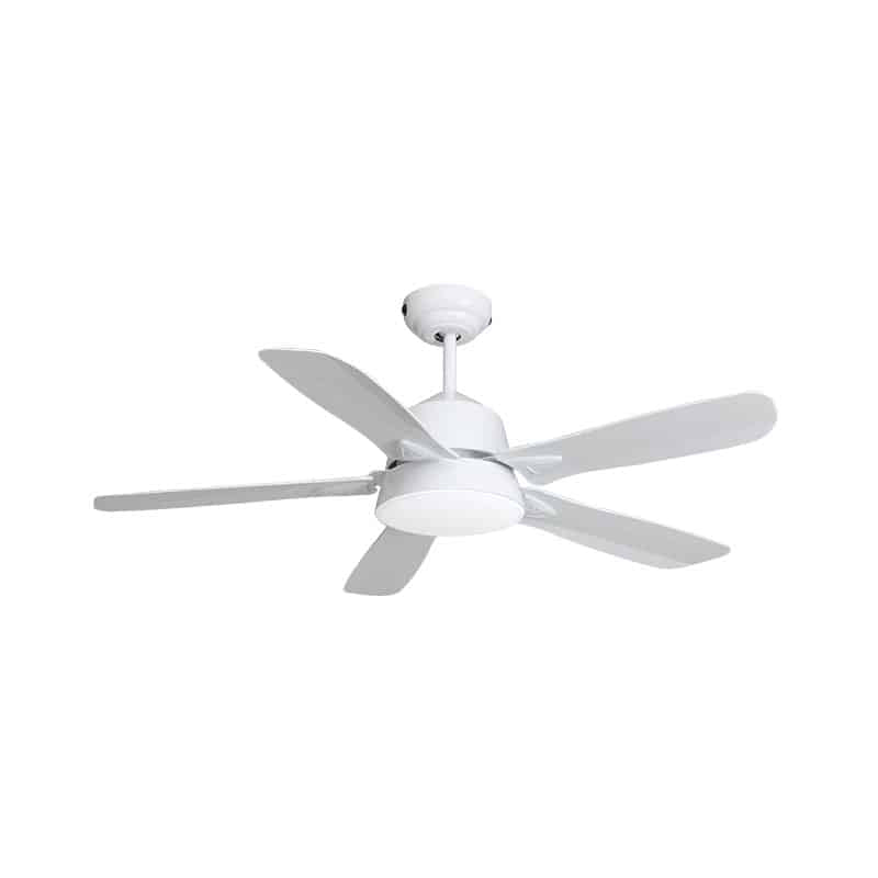 46in STUDIO - White