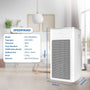 GREE Virus Killer Air Purifier GCF-200AANA - Original dan Bergaransi - RumahDekor.com