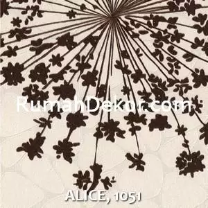 ALICE, 1051