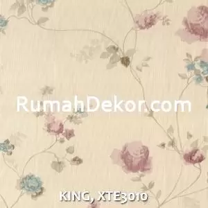KING, XTE3010