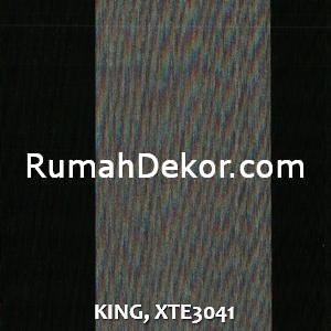 KING, XTE3041