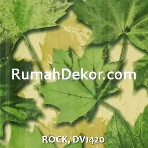 ROCK, DV1420