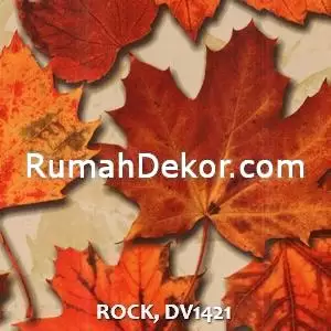 ROCK, DV1421