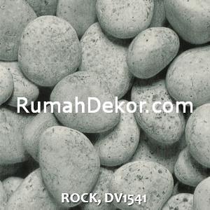 ROCK, DV1541