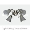 Light Kit F413, Brushed Nickel