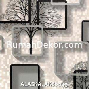 ALASKA, AK80049