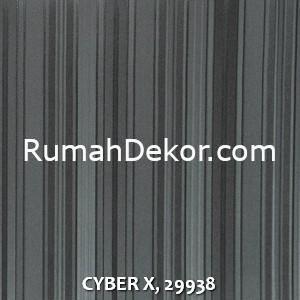 CYBER X, 29938