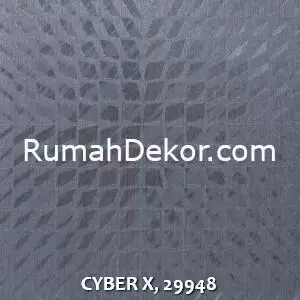 CYBER X, 29948