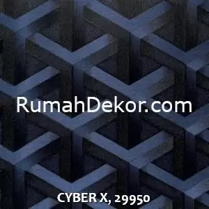 CYBER X, 29950