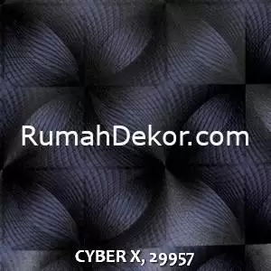 CYBER X, 29957