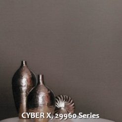CYBER X, 29960 Series