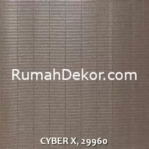 CYBER X, 29960