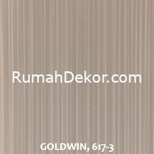 GOLDWIN, 617-3