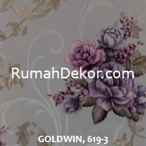 GOLDWIN, 619-3