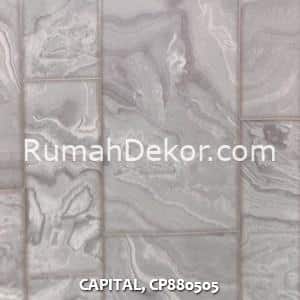 CAPITAL, CP880505