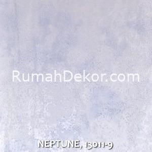 NEPTUNE, 13011-9