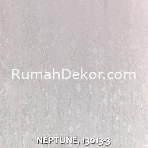 NEPTUNE, 13013-3