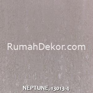 NEPTUNE, 13013-4