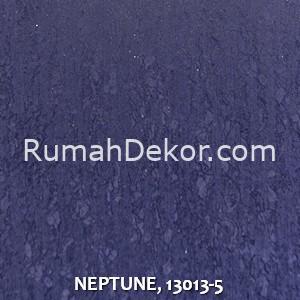 NEPTUNE, 13013-5