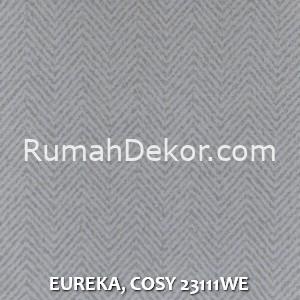 EUREKA, COSY 23111WE