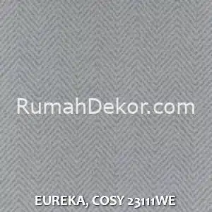 EUREKA, COSY 23111WE