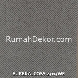 EUREKA, COSY 23113WE
