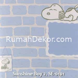 Sunshine Boy 2, SE-0101