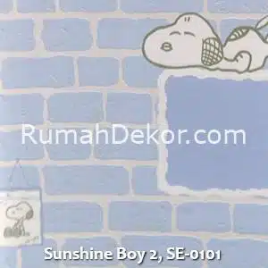 Sunshine Boy 2, SE-0101