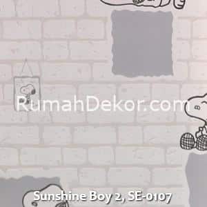 Sunshine Boy 2, SE-0107