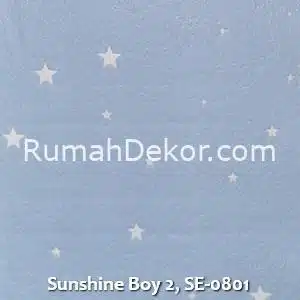 Sunshine Boy 2, SE-0801