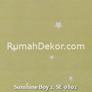Sunshine Boy 2, SE-0802