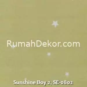 Sunshine Boy 2, SE-0802