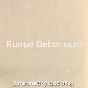 Sunshine Boy 2, SE-0803