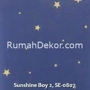 Sunshine Boy 2, SE-0807