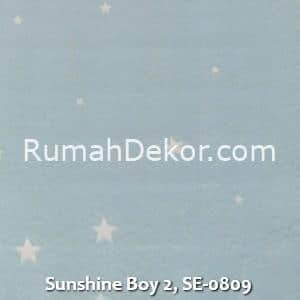 Sunshine Boy 2, SE-0809