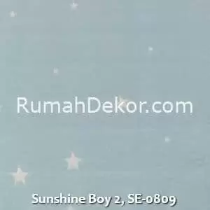 Sunshine Boy 2, SE-0809