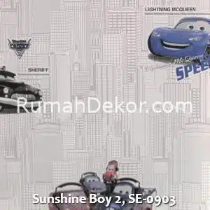 Sunshine Boy 2, SE-0903