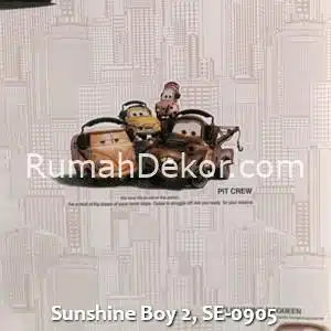 Sunshine Boy 2, SE-0905