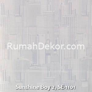 Sunshine Boy 2, SE-1101