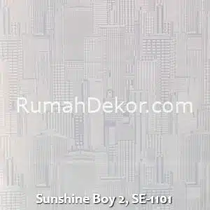 Sunshine Boy 2, SE-1101