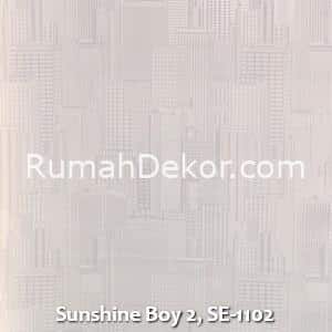 Sunshine Boy 2, SE-1102