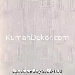 Sunshine Boy 2, SE-1102