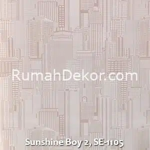 Sunshine Boy 2, SE-1105