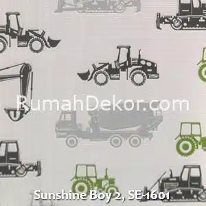 Sunshine Boy 2, SE-1601