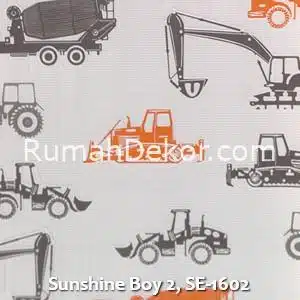 Sunshine Boy 2, SE-1602