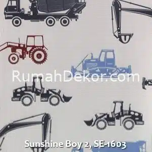 Sunshine Boy 2, SE-1603