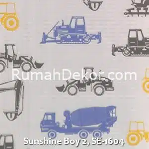 Sunshine Boy 2, SE-1604