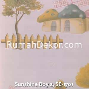 Sunshine Boy 2, SE-1701