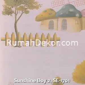 Sunshine Boy 2, SE-1701